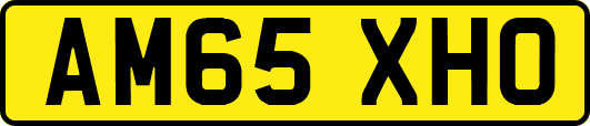 AM65XHO