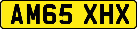 AM65XHX