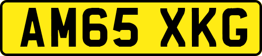AM65XKG