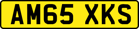 AM65XKS