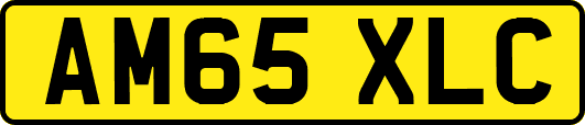 AM65XLC