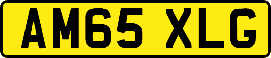 AM65XLG