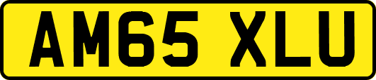 AM65XLU