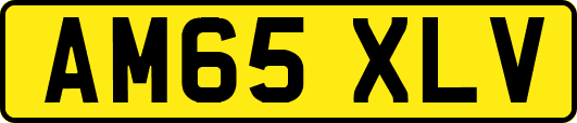 AM65XLV