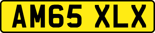 AM65XLX