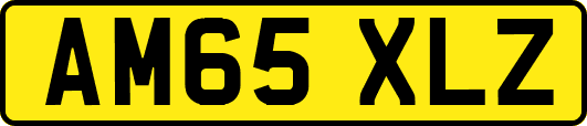 AM65XLZ