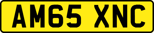 AM65XNC