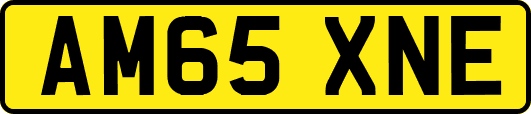 AM65XNE