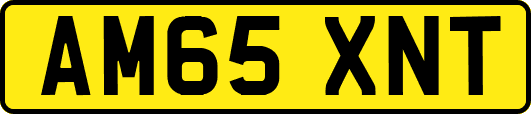 AM65XNT