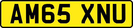 AM65XNU