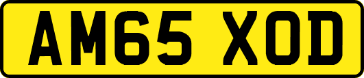 AM65XOD
