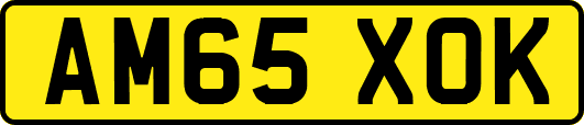 AM65XOK