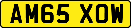AM65XOW