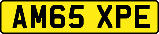AM65XPE