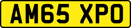 AM65XPO