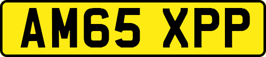 AM65XPP
