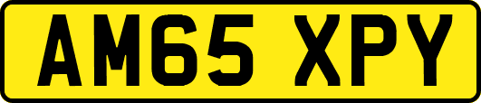 AM65XPY