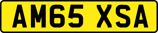 AM65XSA