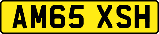 AM65XSH