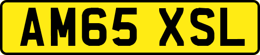 AM65XSL