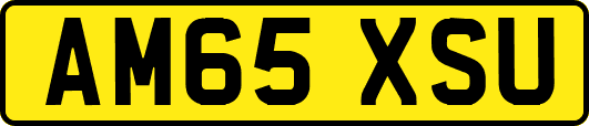 AM65XSU