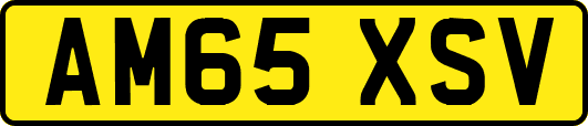 AM65XSV