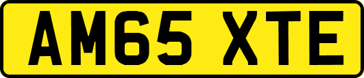 AM65XTE