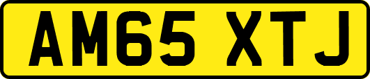AM65XTJ