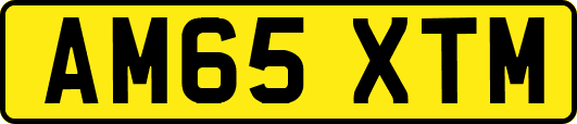 AM65XTM