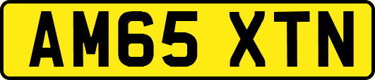 AM65XTN