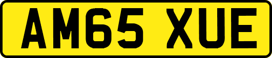 AM65XUE