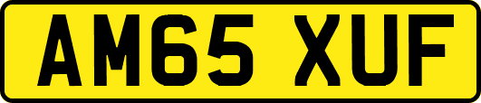 AM65XUF
