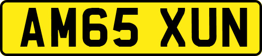 AM65XUN