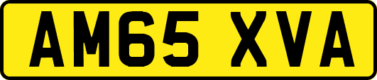 AM65XVA