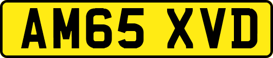 AM65XVD