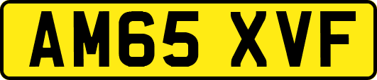 AM65XVF