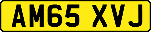AM65XVJ