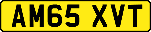 AM65XVT