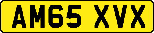AM65XVX
