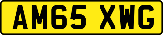 AM65XWG