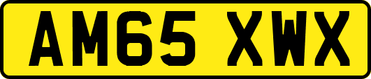 AM65XWX
