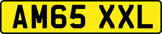 AM65XXL