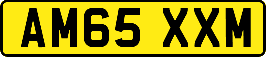 AM65XXM