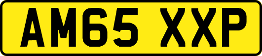 AM65XXP