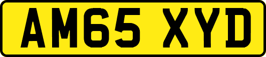 AM65XYD