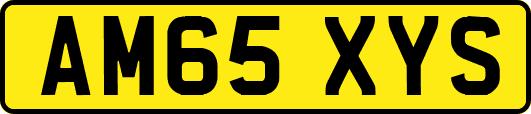 AM65XYS