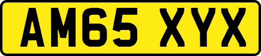 AM65XYX