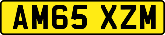 AM65XZM