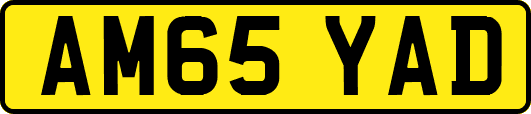 AM65YAD