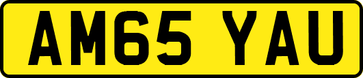 AM65YAU